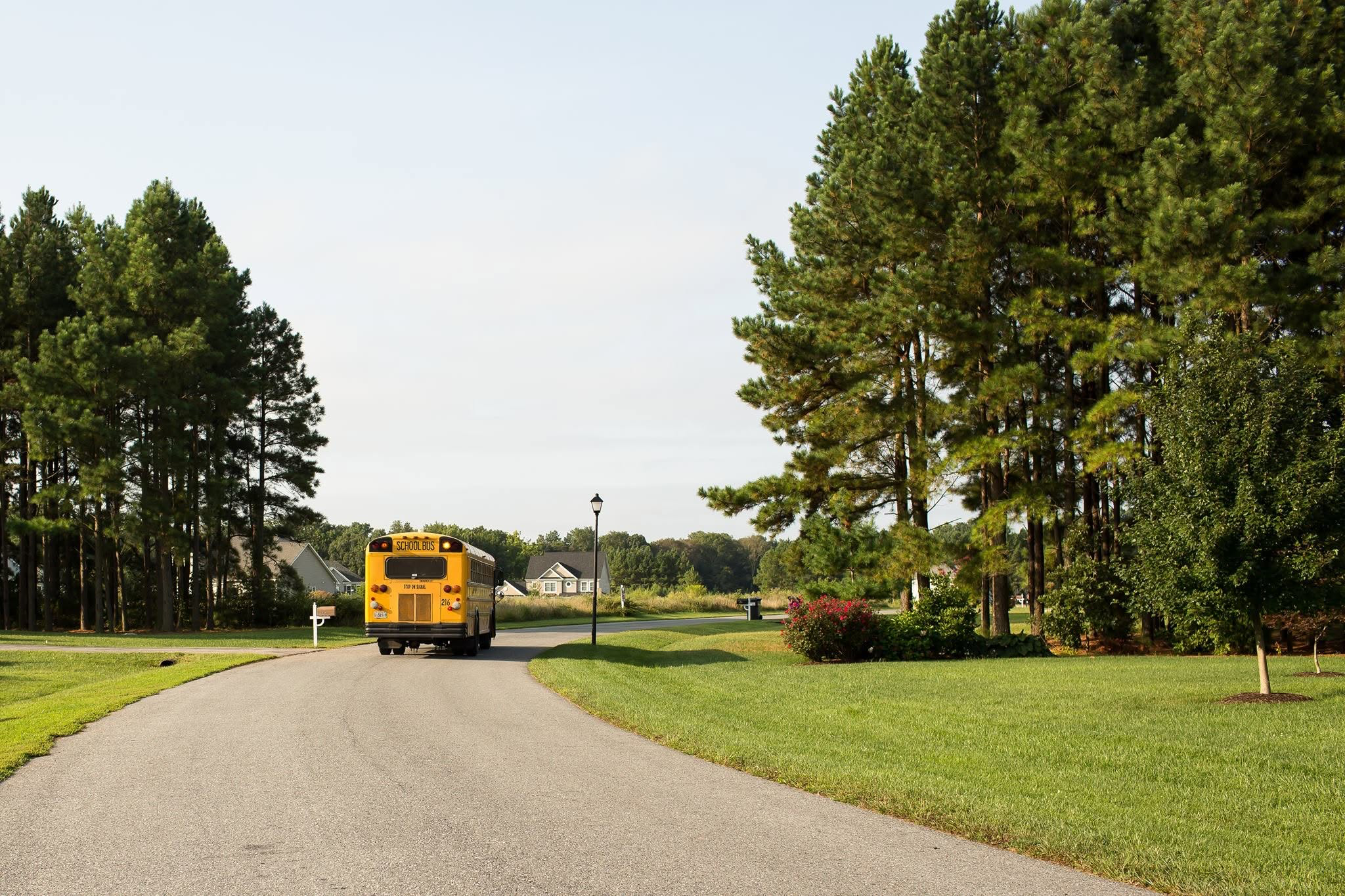 A yellow school bus on a tree-lined neighborhood road